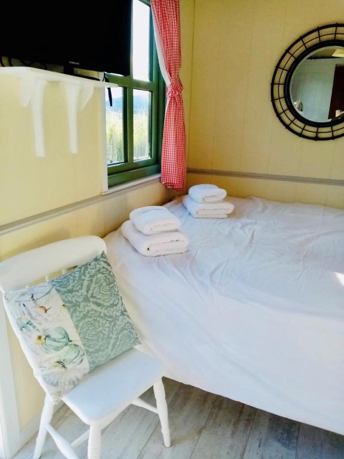 Mountain View Shepherds Hut *